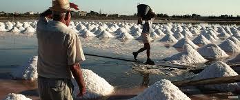 Cuordisale Saline di Trapani